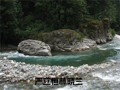 严立恒林晓兰（严立恒林晓兰小说）全文免费阅读无弹窗大结局_(严立恒林晓兰小说)严立恒林晓兰最新章节列表_笔趣阁（严立恒林晓兰）