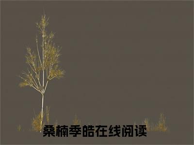 桑楠季皓2023热门榜单首发小说阅读无弹窗 桑楠季皓言情小说最新章节