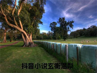 玄衡温梨全文免费阅读大结局_（玄衡温梨免费阅读无弹窗）玄衡温梨最新章节列表笔趣阁（玄衡温梨）