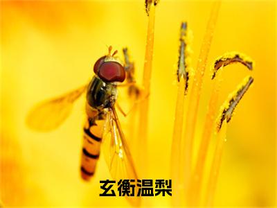 玄衡温梨(主角是玄衡温梨全文免费阅读无弹窗)_玄衡温梨全文免费阅读无弹窗大结局