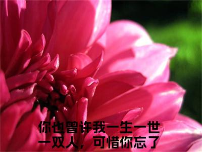 霜辞雪谢丞暮（你也曾许我一生一世一双人，可惜你忘了）全文免费阅读无弹窗大结局_（霜辞雪谢丞暮）你也曾许我一生一世一双人，可惜你忘了最新章节列表_笔趣阁（霜辞雪谢丞暮）