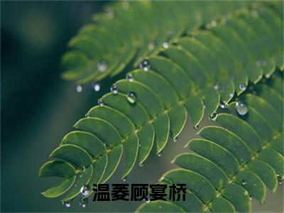 温菱顾宴桥全文免费阅读无弹窗大结局_ 温菱顾宴桥热门章节在线阅读笔趣阁