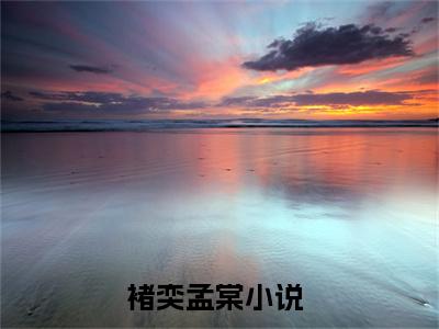 褚奕孟棠小说大结局免费阅读-精彩小说（褚奕孟棠）
