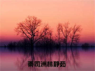 秦司洲林静茹小说免费阅读 秦司洲林静茹免费阅读无广告