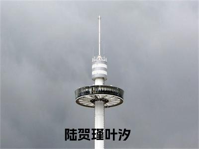 陆贺瑾叶汐（陆贺瑾叶汐）小说在线阅读_陆贺瑾叶汐全本免费小说阅读（陆贺瑾叶汐）