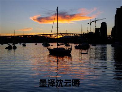 墨泽沈云曦无弹窗热文（墨泽沈云曦）在线阅读-墨泽沈云曦小说在哪里可以看