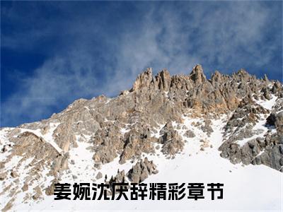 姜婉沈厌辞小说免费在线阅读无弹窗-主角是姜婉沈厌辞的小说