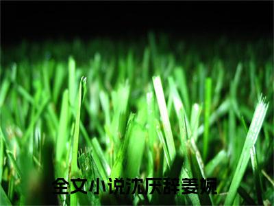 沈厌辞姜婉完结版阅读《沈厌辞姜婉》最新章节目录好书推荐_(沈厌辞姜婉)