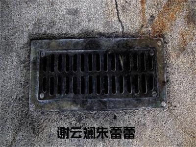 谢云斓朱蕾蕾是什么小说 谢云斓朱蕾蕾正版小说免费阅读_笔趣阁
