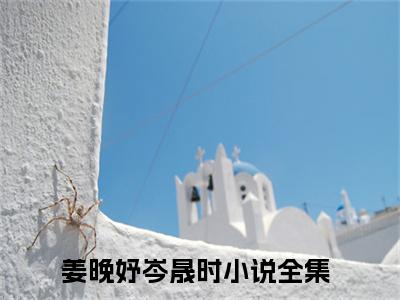 姜晚妤岑晟时(姜晚妤岑晟时)全文免费阅读无弹窗大结局_姜晚妤岑晟时最新章节列表_笔趣阁（姜晚妤岑晟时）