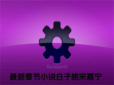 白子皓宋嘉宁全文免费无弹窗大结局_ 白子皓宋嘉宁免费白子皓宋嘉宁最新章节列表_笔趣阁