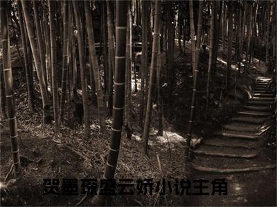 贺墨琛盛云娇小说最新章节在线阅读_贺墨琛盛云娇在线阅读