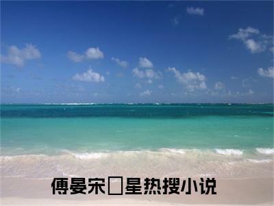 傅晏宋婠星小说免费阅读-傅晏宋婠星最新章节小说阅读-笔趣阁