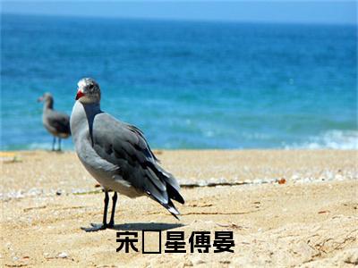 宋婠星傅晏无广告小说全文免费阅读无弹窗大结局-宋婠星傅晏在线阅读最新章节列表_笔趣阁
