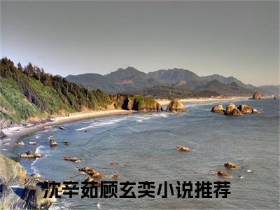沈辛茹顾玄奕（沈辛茹顾玄奕)全文免费阅读无弹窗大结局_沈辛茹顾玄奕全文免费阅读_笔趣阁（沈辛茹顾玄奕）