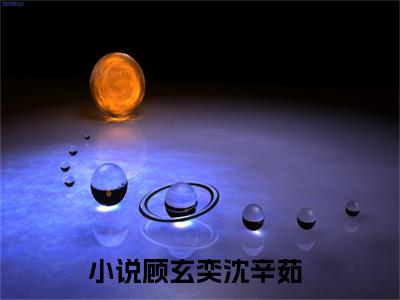 顾玄奕沈辛茹免费阅读（顾玄奕沈辛茹）全文免费阅读无弹窗大结局_顾玄奕沈辛茹免费阅读最新章节列表_笔趣阁（顾玄奕沈辛茹）