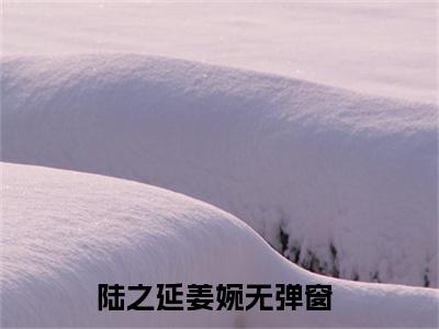 陆之延姜婉（陆之延姜婉）全文免费阅读无弹窗大结局_(陆之延姜婉免费阅读)陆之延姜婉无弹窗最新章节列表_笔趣阁