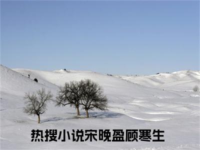 宋晚盈顾寒生最新章节免费阅读-宋晚盈顾寒生全文无弹窗试读