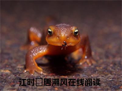 江时玥唐溯风（江时玥唐溯风小说）全文免费阅读无弹窗大结局_（江时玥唐溯风）江时玥唐溯风最新章节列表笔趣阁（江时玥唐溯风）