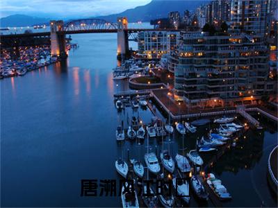唐溯风江时玥热门小说全文免费阅读无弹窗大结局-唐溯风江时玥全文无弹窗免费阅读大结局