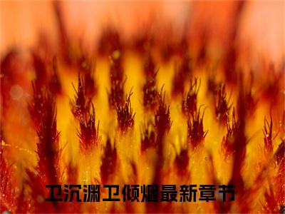 卫沉渊卫倾烟（卫沉渊卫倾烟）小说全文免费阅读无弹窗大结局_（卫沉渊卫倾烟免费阅读）最新章节列表笔趣阁