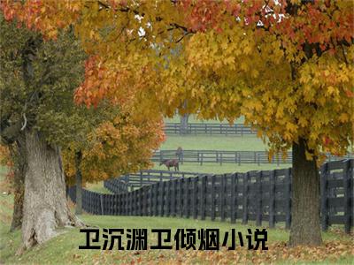 （卫沉渊卫倾烟）是什么小说-卫沉渊卫倾烟（卫沉渊卫倾烟）免费阅读大结局最新章节列表_笔趣阁