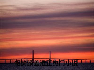 相绮颂姜淮正小说无广告免费阅读无删减