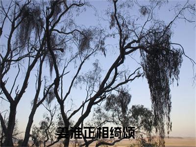 高赞小说（姜淮正相绮颂小说免费阅读）完结阅读_姜淮正相绮颂全文免费阅读最新章节大结局