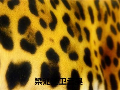 梁沁沁卫云昊小说（梁沁沁卫云昊）全文免费阅读无弹窗_梁沁沁卫云昊小说最新章节免费阅读_笔趣阁