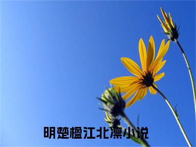明楚楹江北凛（明楚楹江北凛txt）全文免费阅读无弹窗大结局_明楚楹江北凛最新章节列表_笔趣阁（明楚楹江北凛txt）