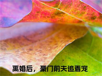 温言裴时年小说最新章节阅读-小说温言裴时年（离婚后，豪门前夫追着宠）已完结小说精彩大结局