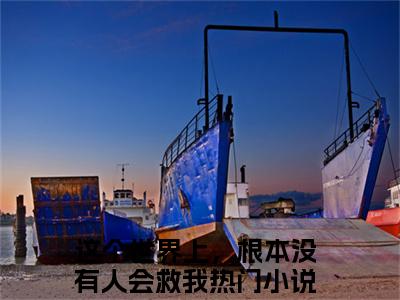 新书热荐这个世界上，根本没有人会救我全文免费阅读无弹窗大结局-小说林浅夏秦西辞全文完整版免费阅读