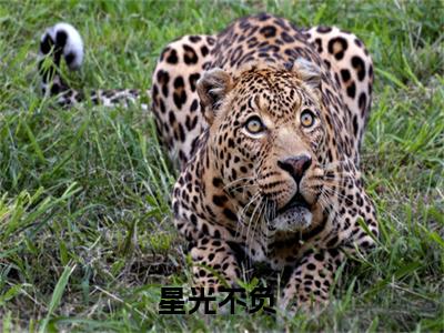 苏岚若秦云璟（星光不负）全文免费阅读无弹窗大结局_星光不负最新章节列表_笔趣阁（苏岚若秦云璟）