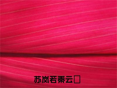 星光不负阅读无弹窗大结局_（苏岚若秦云璟阅读无弹窗）最新章节列表_笔趣阁