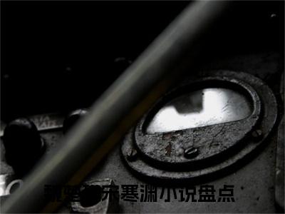 魏楚瑛宋寒渊（魏楚瑛宋寒渊全文免费）全文免费阅读_（魏楚瑛宋寒渊）魏楚瑛宋寒渊全文免费阅读无弹窗最新章节列表_笔趣阁（魏楚瑛宋寒渊）