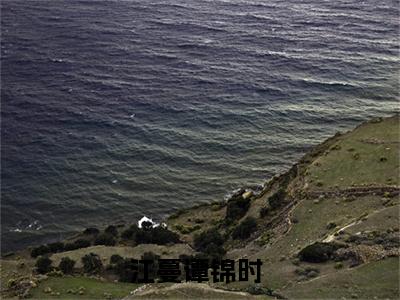 江蔓谭锦时全文免费阅读_江蔓谭锦时最新小说_笔趣阁