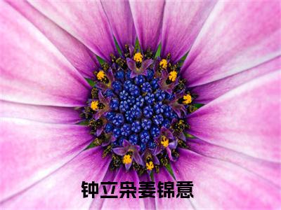 钟立枭姜锦意（钟立枭姜锦意）小说完整版阅读-钟立枭姜锦意小说全文免费阅读