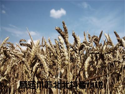 热门小说已完顾廷川苏北北小说无弹窗大结局_顾廷川苏北北全文阅读大结局