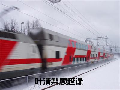 《叶清梨顾越谦》最新章节免费阅读-叶清梨顾越谦无广告小说精彩阅读