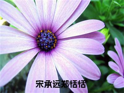 宋承远郑恬恬（宋承远郑恬恬）小说最后结局-（宋承远郑恬恬）完结版免费阅读
