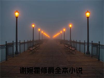谢婉霍修爵小说（谢婉霍修爵）全文免费阅读大结局无删减_（谢婉霍修爵）谢婉霍修爵小说最新章节列表_笔趣阁（谢婉霍修爵）