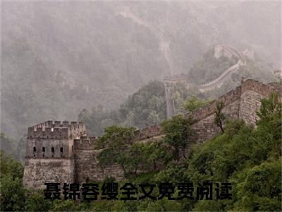 （完整版）聂锦容缨（聂锦容缨）小说推荐-聂锦容缨热文小说免费阅读全文