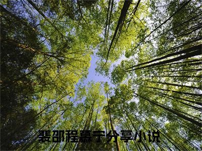 裴邵程慕宁最火热点小说最新更新-裴邵程慕宁全文免费无弹窗