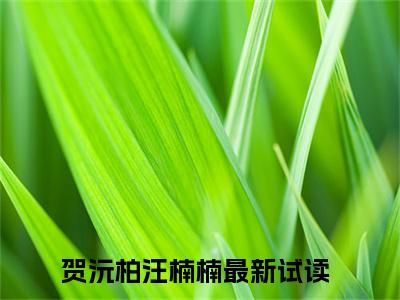 贺沅柏汪楠楠全文免费阅读无弹窗大结局-贺沅柏汪楠楠全文在线阅读最新章节列表_笔趣阁