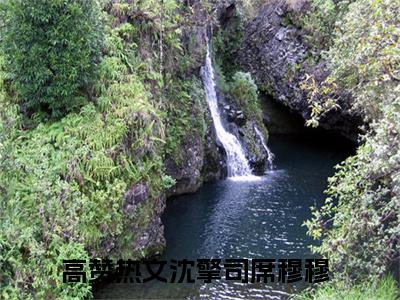 沈擎司席穆穆（沈擎司席穆穆）免费阅读无弹窗大结局-沈擎司席穆穆免费阅读大结局最新章节列表_笔趣阁