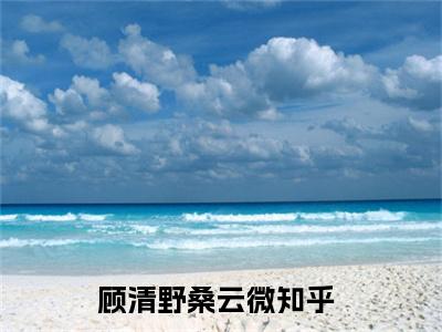 顾清野桑云微精彩小说赏析全文 顾清野桑云微热门小说免费阅读