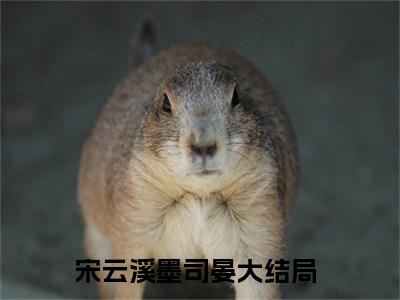 宋云溪墨司晏推荐免费新书 -宋云溪墨司晏小说阅读无弹窗