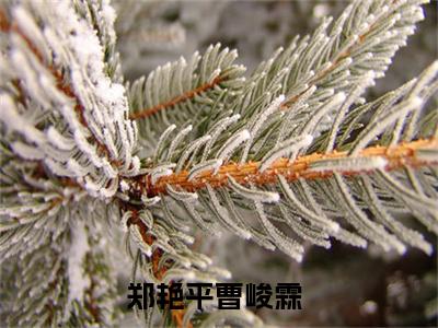 郑艳平曹峻霖（郑艳平曹峻霖）全文免费阅读无弹窗大结局-郑艳平曹峻霖最新章节列表-笔趣阁