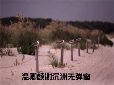 温卿颜谢沉洲小说(温卿颜谢沉洲)全文免费阅读无弹窗大结局_温卿颜谢沉洲小说免费阅读无弹窗最新章节列表_笔趣阁
