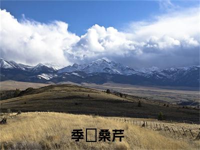 季陸桑芹(季陸桑芹)全文免费阅读无弹窗大结局-季陸桑芹求书热文免费阅读